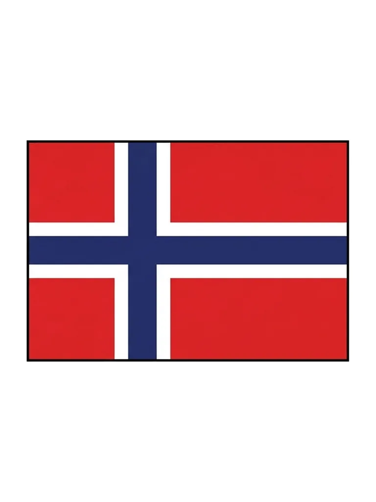 Modèle en couleur du coloriage drapeau de la Norvège