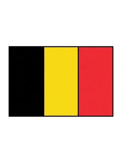 Modèle en couleur du coloriage drapeau de la Belgique